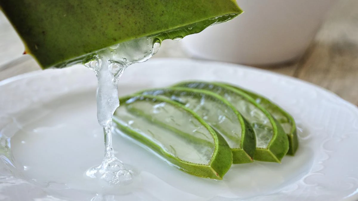 Top 10 Uses of Aloe Vera for Skin 