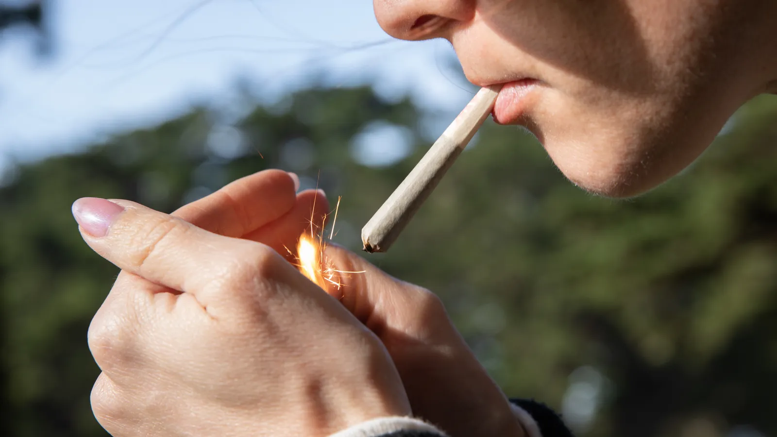 Everything You Need to Know About CBD Joints