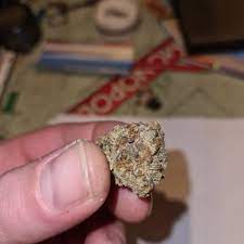 Strawberry runtz jungle boys