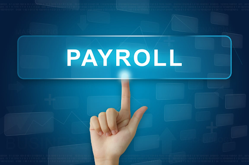 Payroll Providers